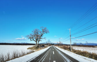 道東の冬