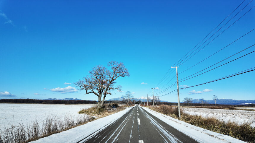 道東の冬